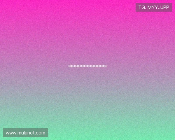 深圳新鹏城推出免费接驳车服务助力球迷便捷前往肇庆观赛